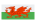  Cymraeg